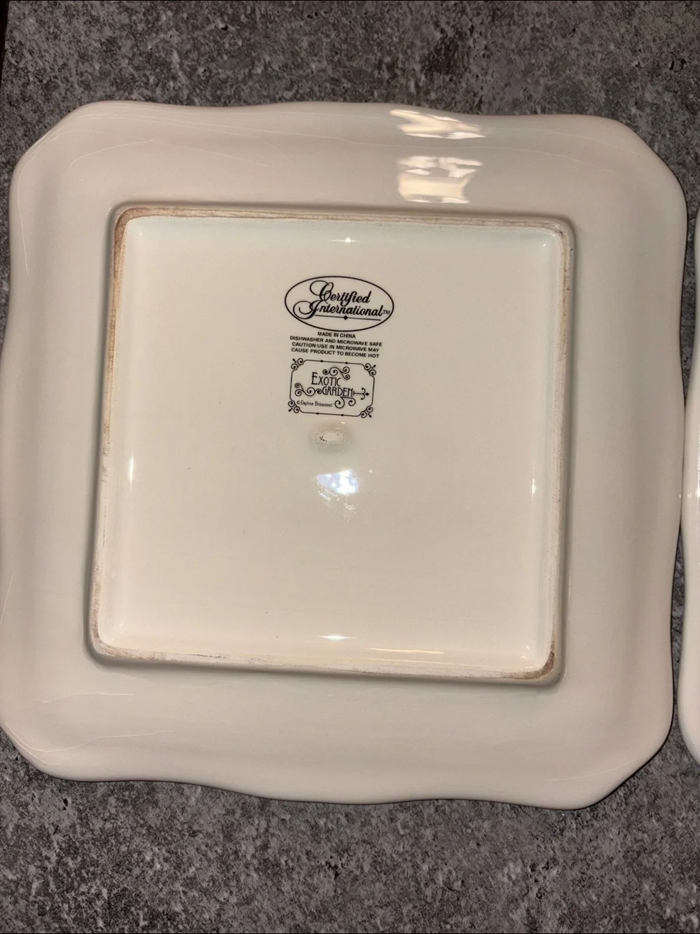 Certified International Exotic Garden Peacock Square Salad Plate 2 Plate Set EUC